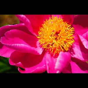 Meet your Posher, Michaela